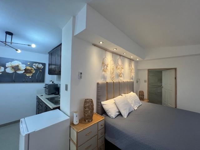 Suite Mirador Deluxe Чиуауа Экстерьер фото